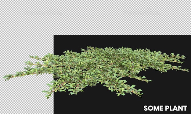 a picture of a plant that is labeled as  re - usable