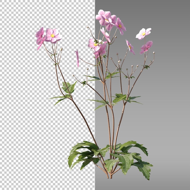 その上に花がある植物の写真