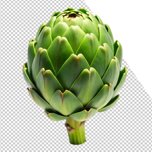 a picture of a plant with the middle cut out