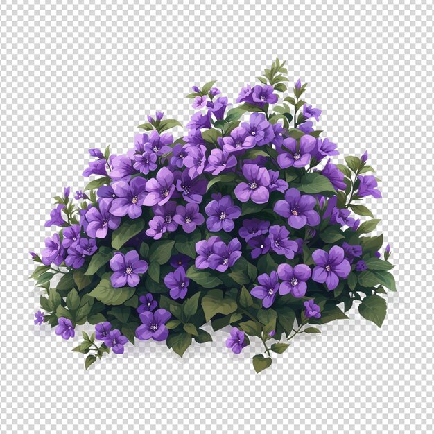 A picture of a plant with purple flowers