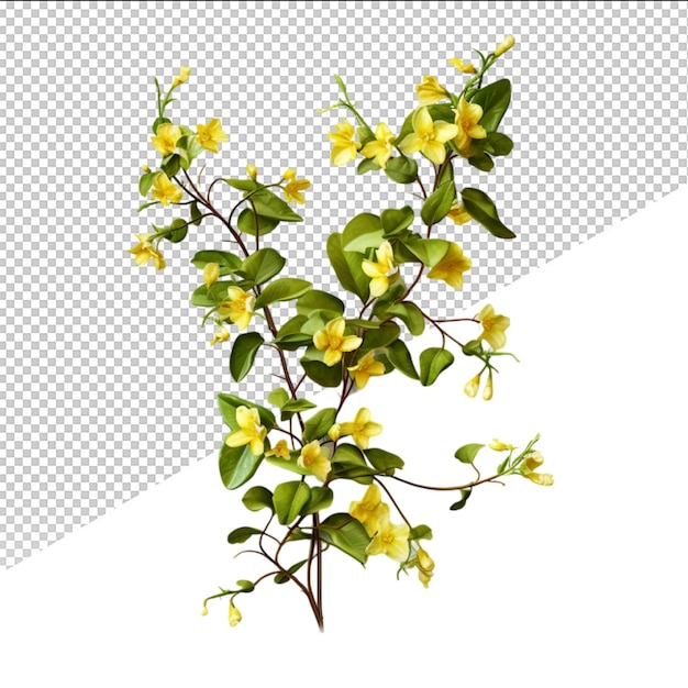 PSD a picture of a plant with yellow flowers on it