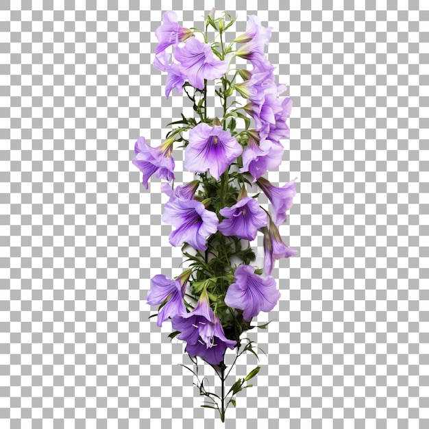 PSD un'immagine di un fiore viola con l'angolo sinistro inferiore dell'immagine