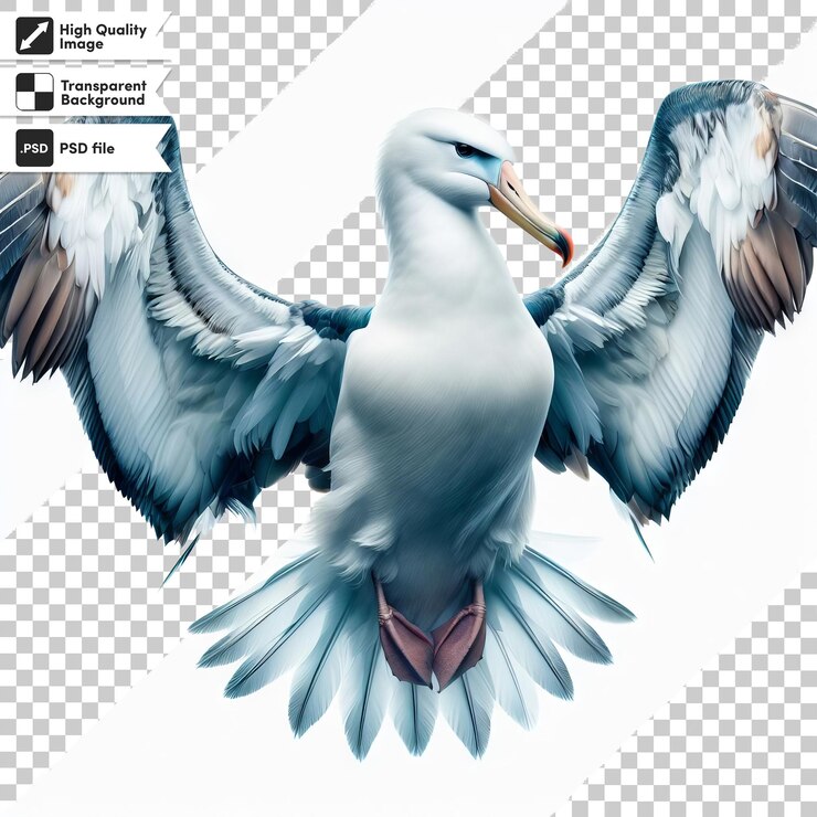 PSD a picture of a seagull with a fish in its beak