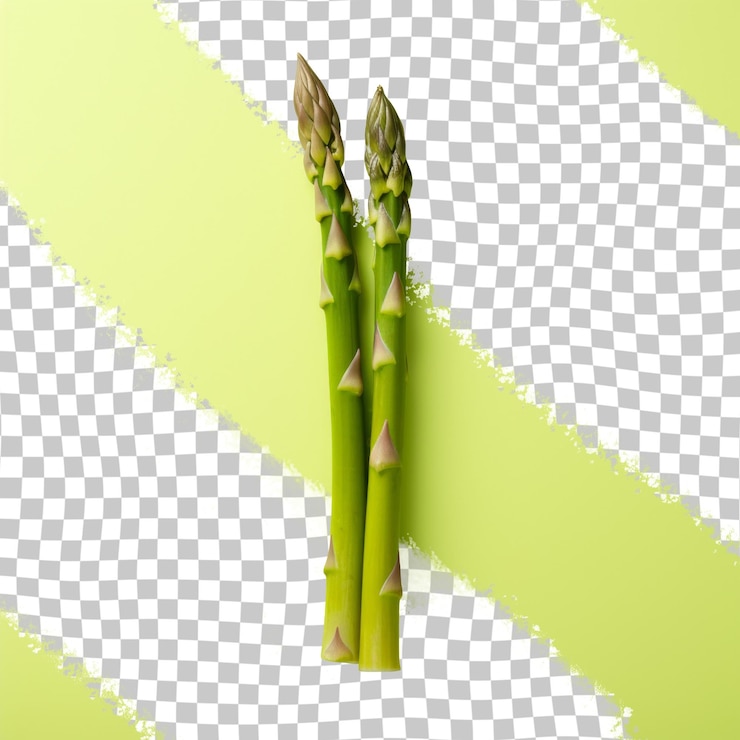 PSD a picture of a sprig of asparagus