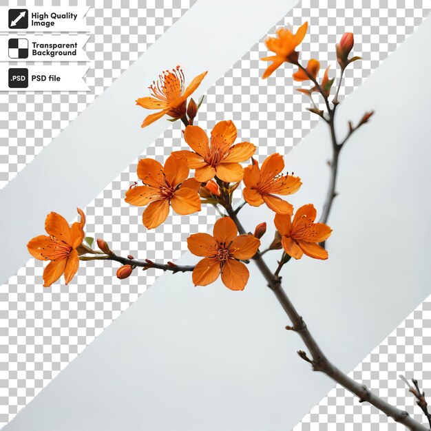 A picture of a tree with orange flowers on it