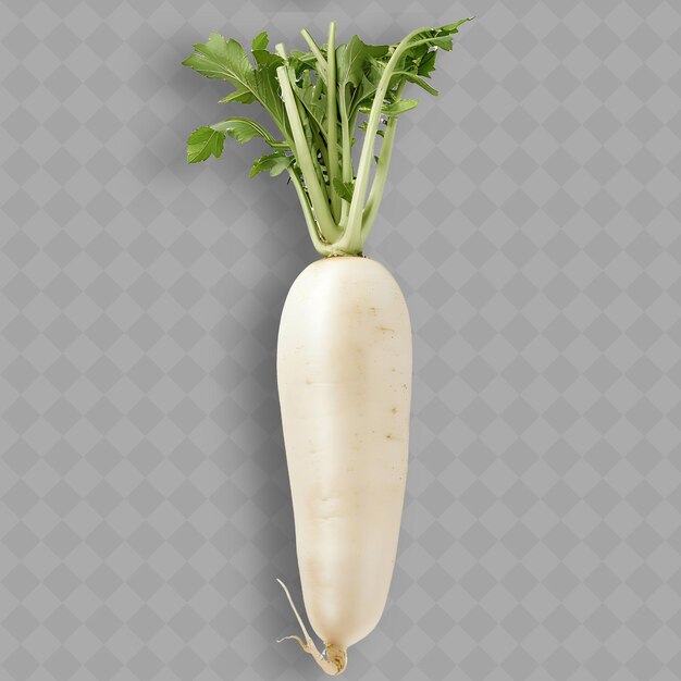 PSD a picture of a vegetable with the words  beetro  on it