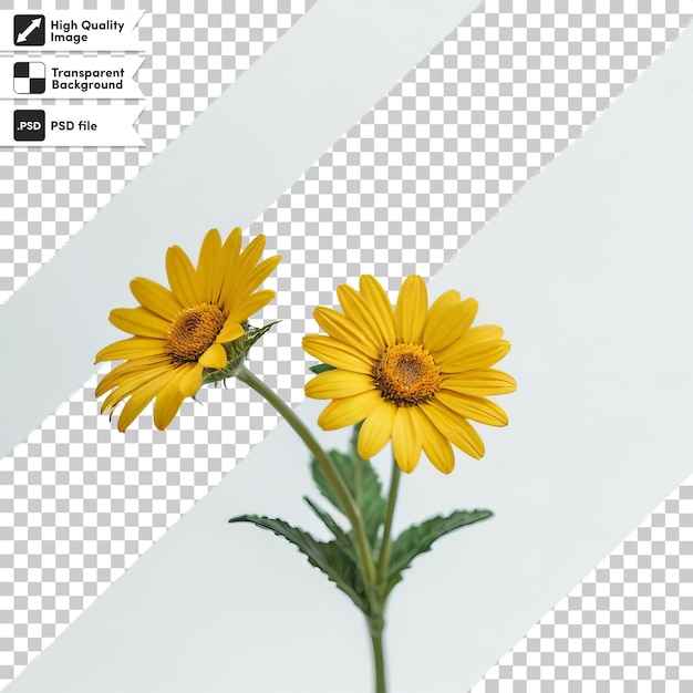 PSD a picture of yellow flowers with the words  d  on it