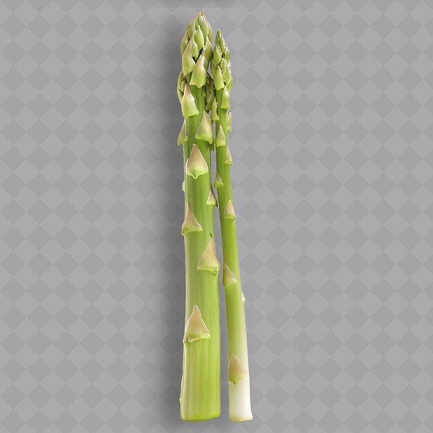 PSD a piece of food that is green and has the word asparagus on it