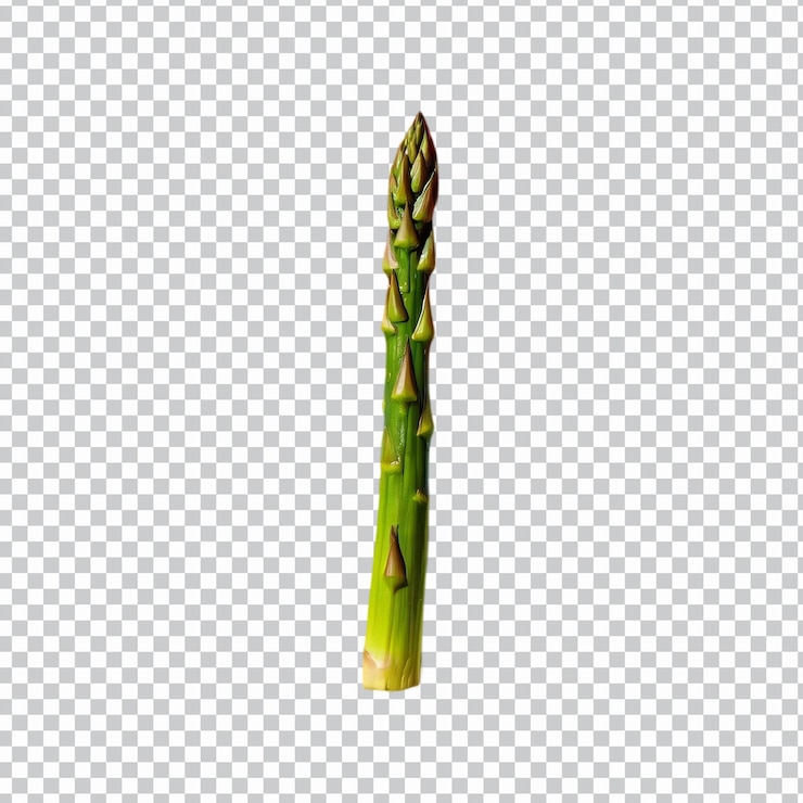 PSD a piece of roasted asparagus isolated on transparent background