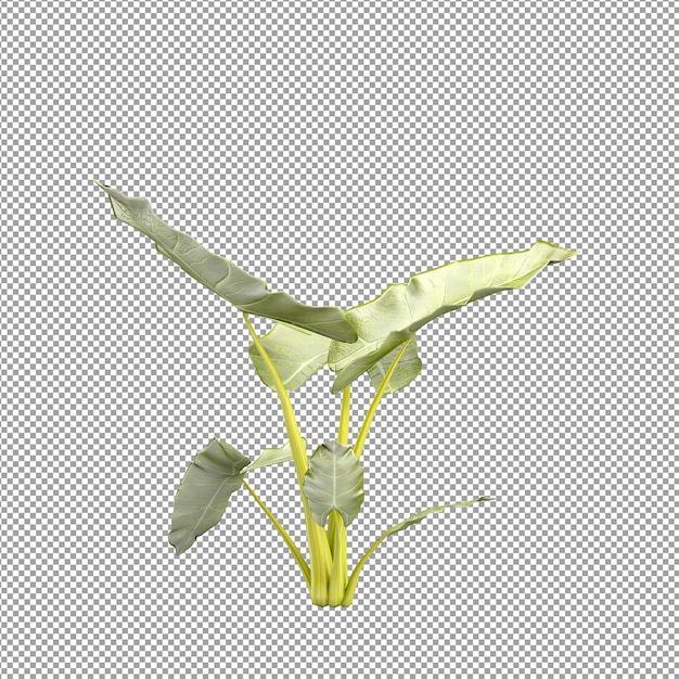Piękna roślina w renderowaniu 3d na białym tle