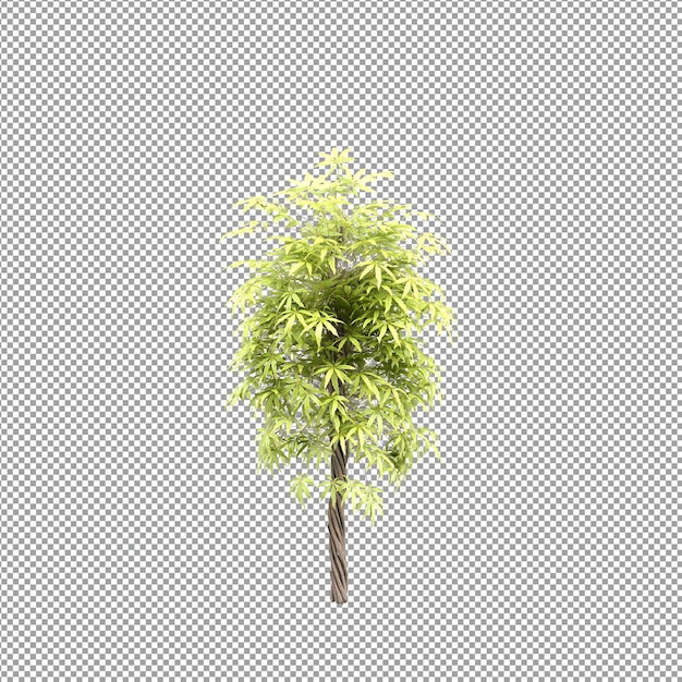 Piękna roślina w renderowaniu 3d na białym tle