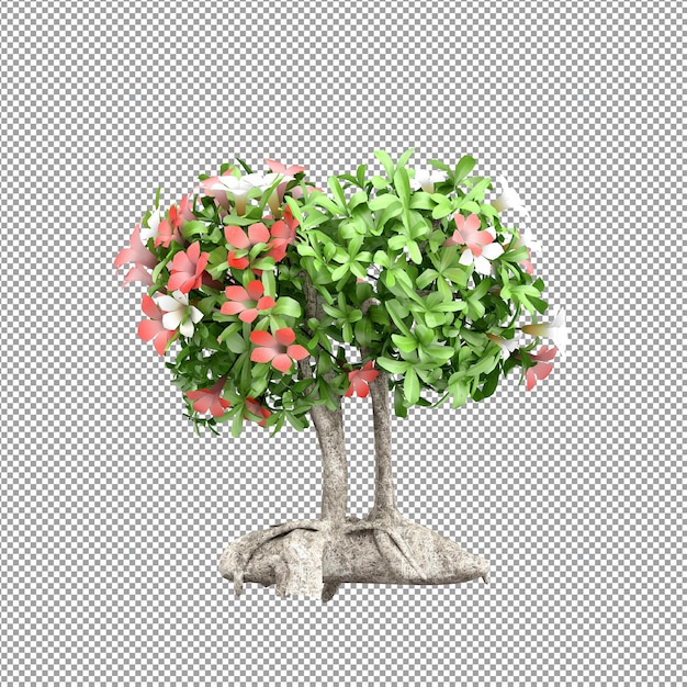 Piękna roślina w renderowaniu 3d na białym tle