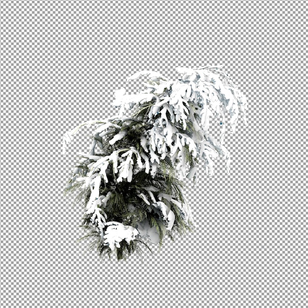 PSD piękna roślina w renderowaniu 3d na białym tle