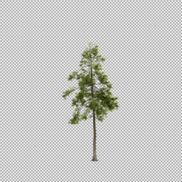 Piękna roślina w renderowaniu 3d na białym tle