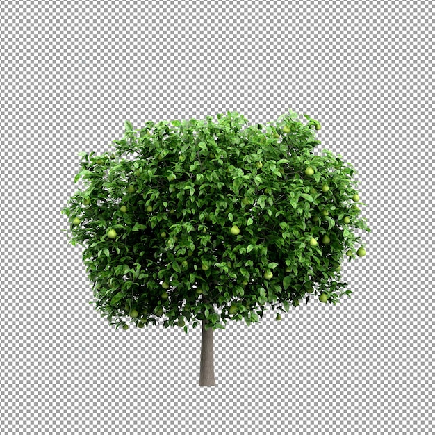 Piękna roślina w renderowaniu 3d na białym tle