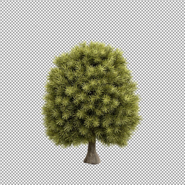 Piękna roślina w renderowaniu 3d na białym tle