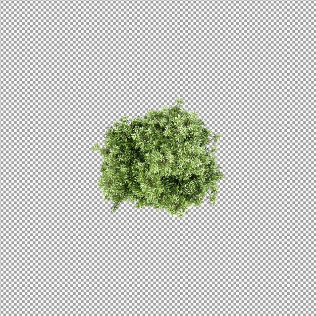 Piękna roślina w renderowaniu 3d na białym tle