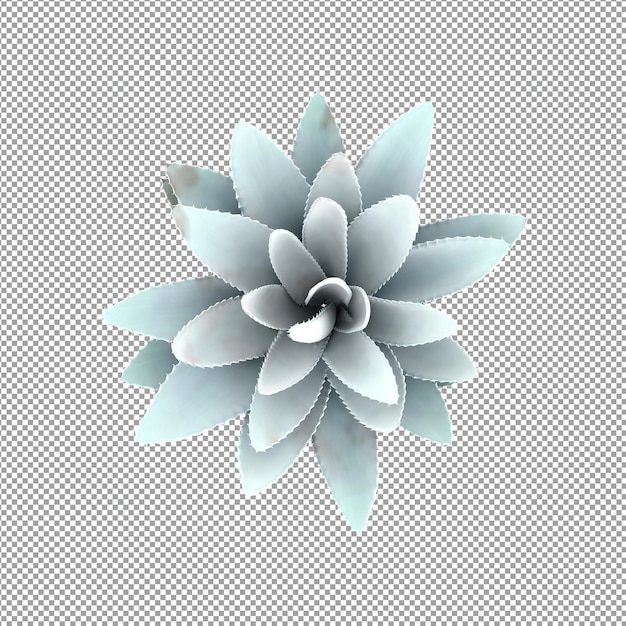 Piękna roślina w renderowaniu 3d na białym tle