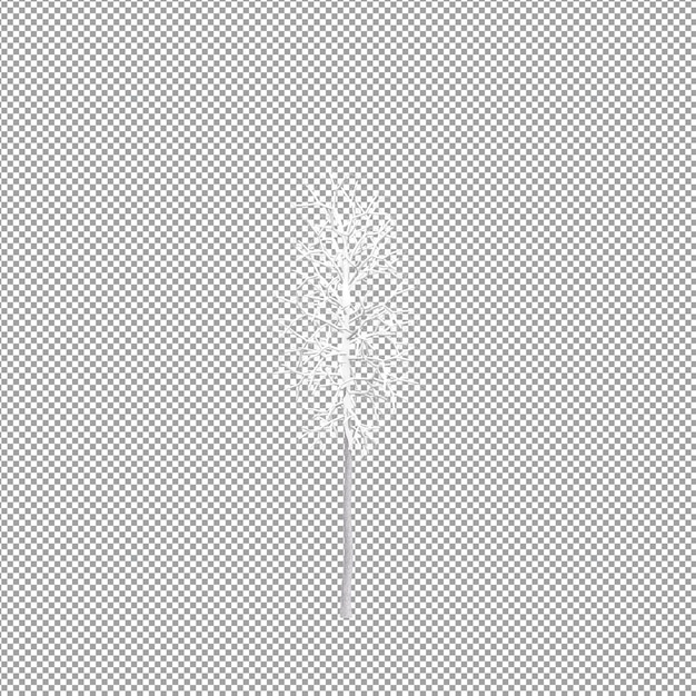 PSD piękna roślina w renderowaniu 3d na białym tle