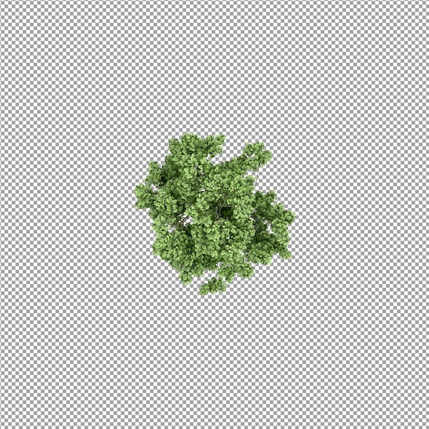 Piękna roślina w renderowaniu 3d na białym tle