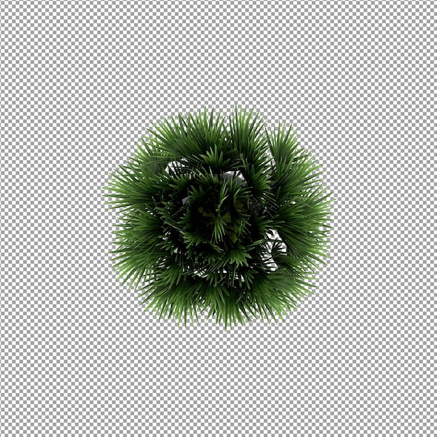 Piękna roślina w renderowaniu 3d na białym tle
