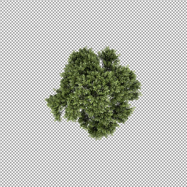 Piękna roślina w renderowaniu 3d na białym tle