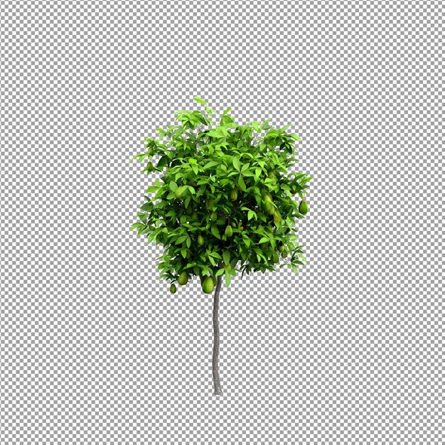 Piękna roślina w renderowaniu 3d na białym tle