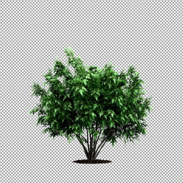 Piękna roślina w renderowaniu 3d na białym tle