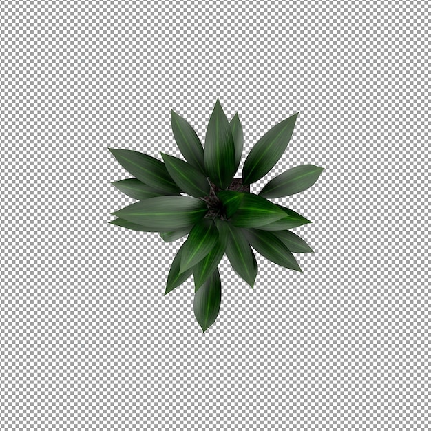 Piękna roślina w renderowaniu 3d na białym tle