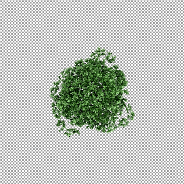 Piękna roślina w renderowaniu 3d na białym tle
