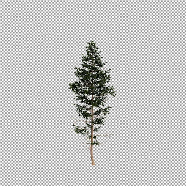 Piękna roślina w renderowaniu 3d na białym tle