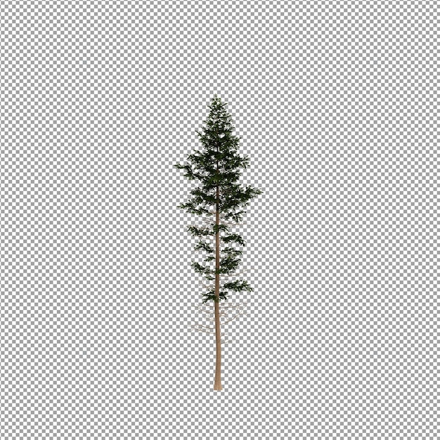 Piękna roślina w renderowaniu 3d na białym tle