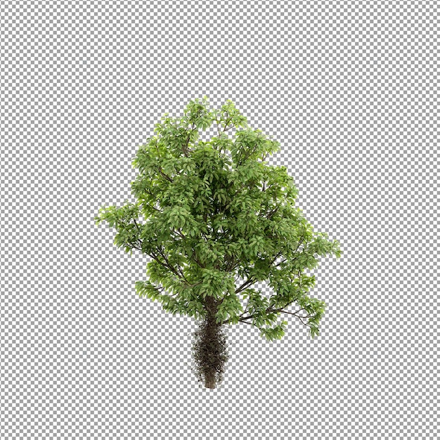 Piękna roślina w renderowaniu 3d na białym tle