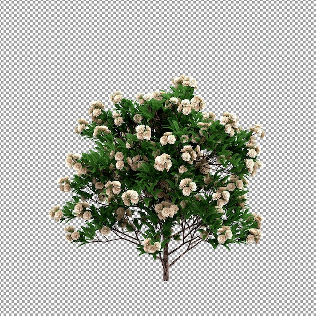 Piękna roślina w renderowaniu 3d na białym tle