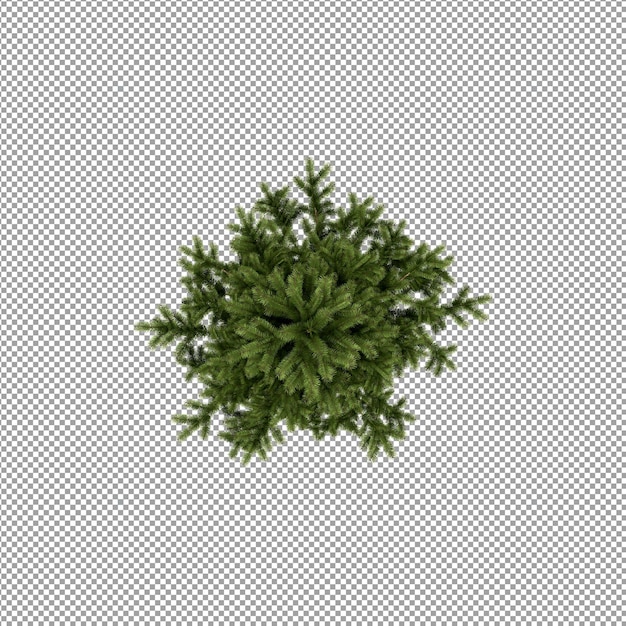 Piękna roślina w renderowaniu 3d na białym tle