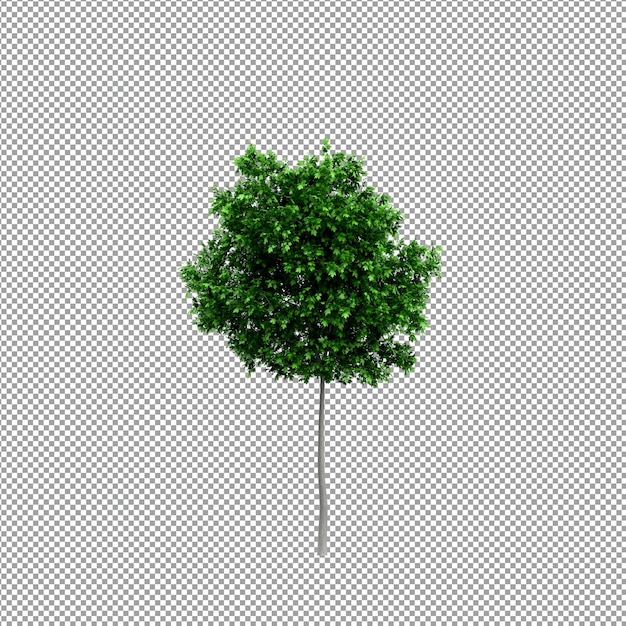 Piękna roślina w renderowaniu 3d na białym tle