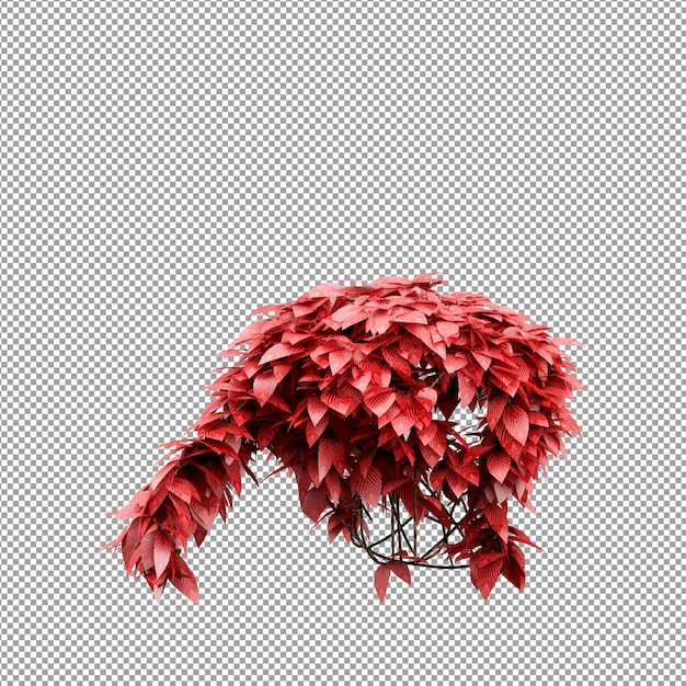 Piękna roślina w renderowaniu 3d na białym tle