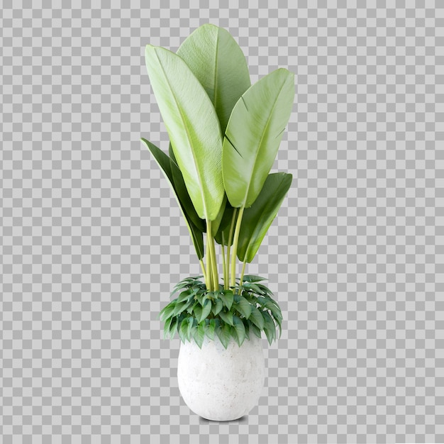 Piękna roślina w renderowaniu 3d na białym tle