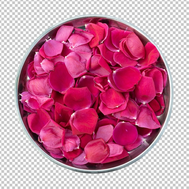Piękne płatki kwiatów róży w izolowanym renderowaniu z blachy stalowej