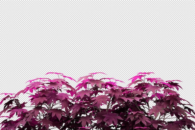 PSD piękne różne rodzaje kwiatów w renderowaniu 3d