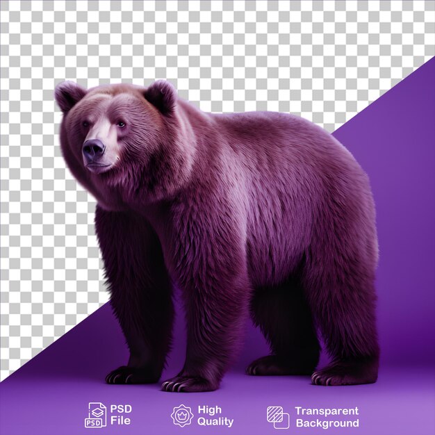 PSD piękny fioletowy niedźwiedź izolowany na przezroczystym tle zawiera plik png