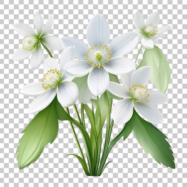 PSD piękny kwiat abstrakcyjny projekt bukietu z fraktalną akwarelą kwiat na przezroczystym tle