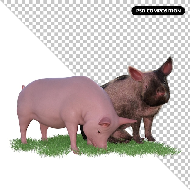 Свинья в изолированной траве 3d