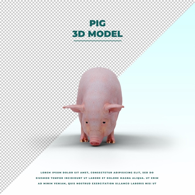 PSD pig isolated