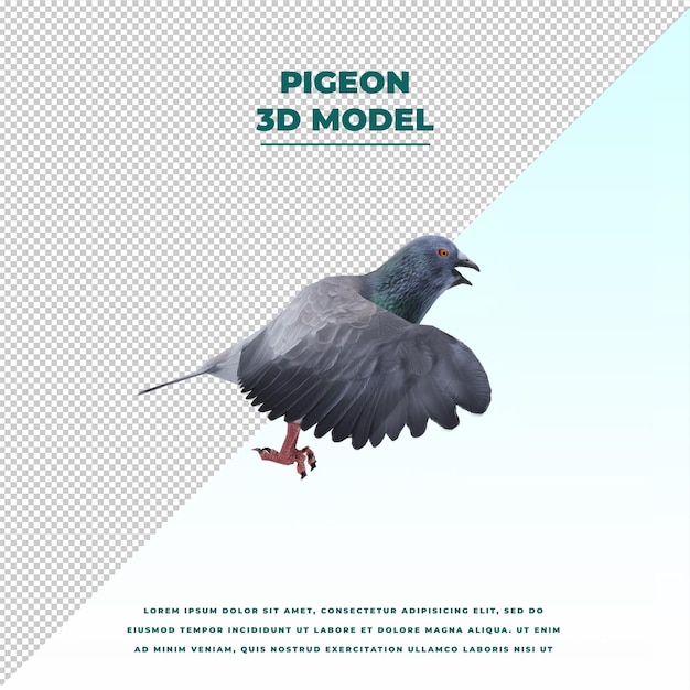 PSD pigeon