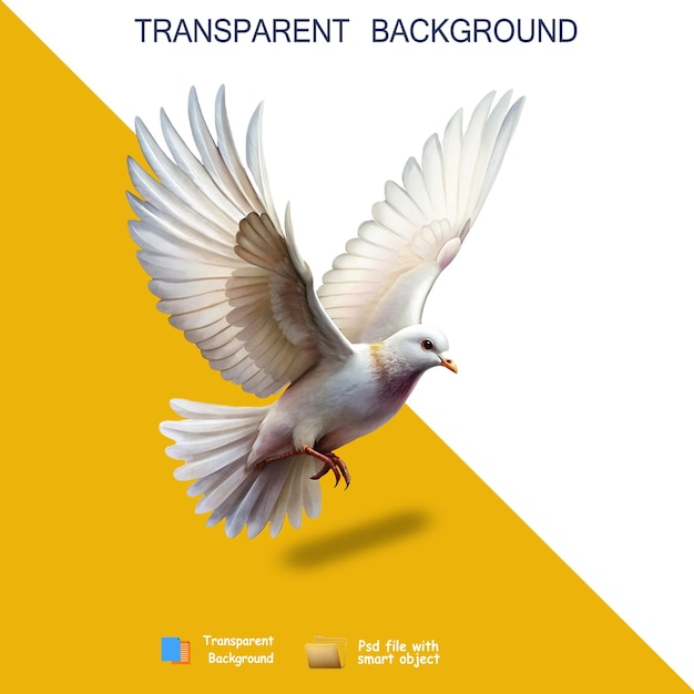 PSD pigeons fly png transparent background vector image