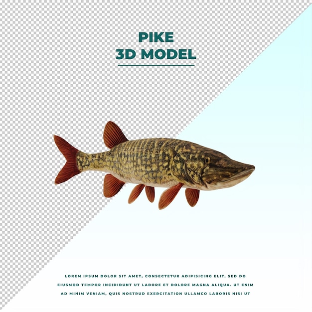 PSD pike fish isolated