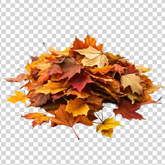 PSD pile bouquet of autumn leaves isolated on transparent background