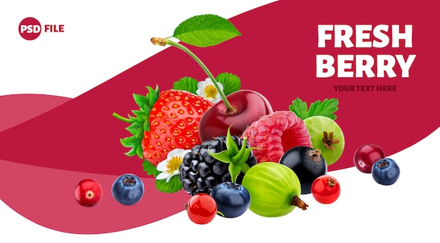 Pile of different wild berries  banner