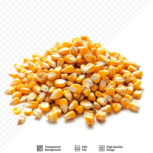 PSD pila di semi di mais secco isolati su uno sfondo bianco isolato